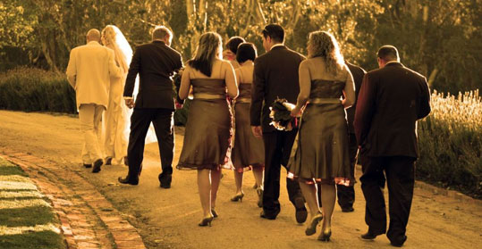 Wedding Photo